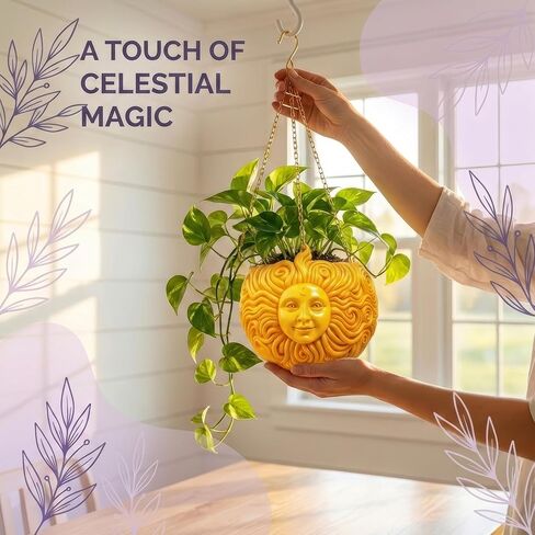 متعة وفريدة من نوعها من أشعة الشمس معلقة زارع سماوي ملتوية لعشاق النباتات - سلة زهرة في الهواء الطلق في الهواء الطلق للعصارة والنباتات الصغيرة - زخرفة حديقة الفناء in Kuwait