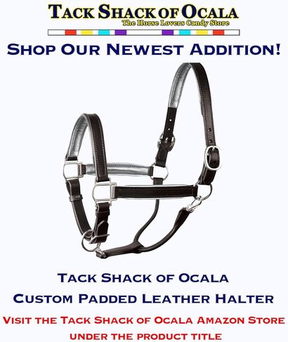 Leather Halter for Horses with Customized Engraved Name Plate Option Halter for Horse | Brown/Brass, Black/Brass, Black/Chrome Options in Saudi Arabia
