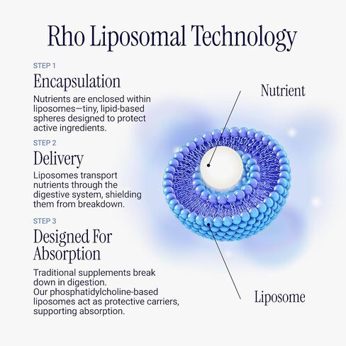 Rho Nutrition Liposomal Methylfolate 5-MTHF + B12 Complex - حمض الفوليك الميثيل السائل النشط بيولوجيًا عالي الامتصاص وB12 - يدعم الميثيل وإنتاج الطاقة والمزاج والصحة الخلوية in Kuwait