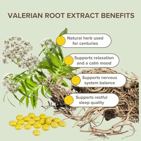 Valerian Root Extract, 5 Glass Bottles, 50 Coated Tablets Each Bottle (20mg), 250 Tablets in Kuwait