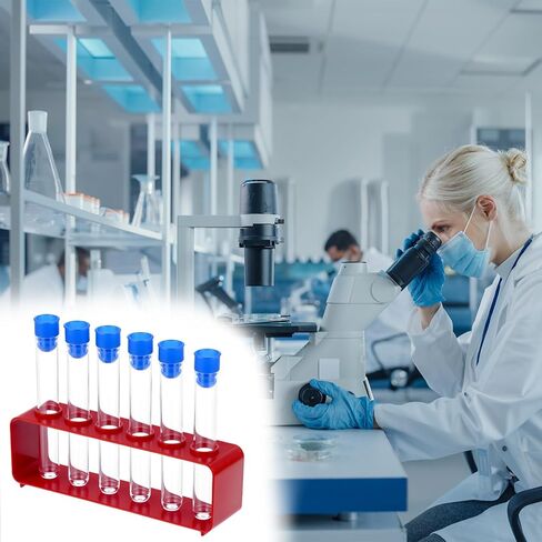 QWORK 2-Rack Laboratory Test Tube Set with Airtight Cap & 12 Transparent Scientific Test Tubes, Party Decorations Shot Tubes in Saudi Arabia