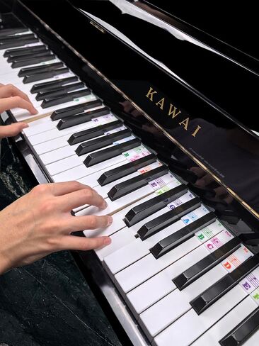 Silicone Piano Key Labels with Black Key Stickers PS-88C-C in Kuwait