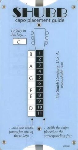 Transposing and Capo Placement Guide in Kuwait