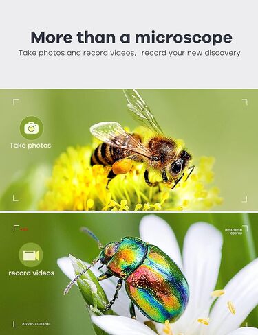 7" LCD Digital Microscope 1200X,Leipan 12MP Coin Microscope with Screen for Adults,1080P Coin Magnifier with 12pcs Slides,Wired Remote,2 Side Lights,Windows/Mac OS Compatible in Kuwait