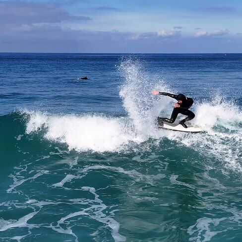 Ho Stevie! 3mm Surfing Wetsuit Booties - Warm, Comfortable, Durable, Grippy Surf Boots - Thermal Lining + GBS Seams in Kuwait