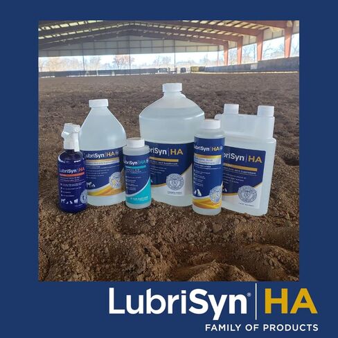 Lubrisyn HA with MSM - Proprietary Vegan Joint Relief Edible Supplement Made in USA for Humans - 30 Day Supply of Liquid Hyaluronic Acid Formula for Healthy Joints in Kuwait