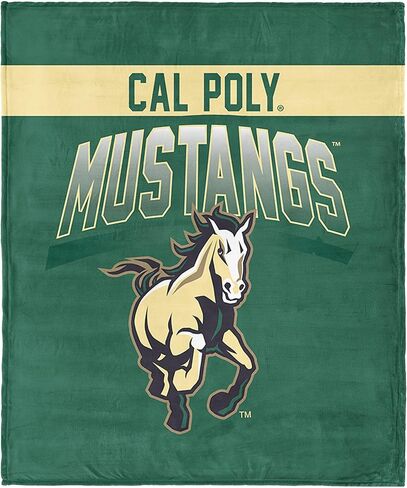 Northwest South Florida Bulls NCAA Bevel Silk Touch Throw Blanket 50x60 inches in Saudi Arabia