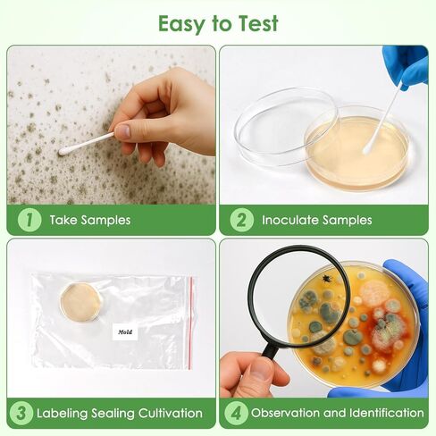Mold Test Kit for Home, 8 Simple Detection Tests, DIY Mold Detector at Home, Test HVAC System, Home Surfaces & Indoor Air Quality Testing Kits Includes Detailed Mold Identification Guide in Kuwait