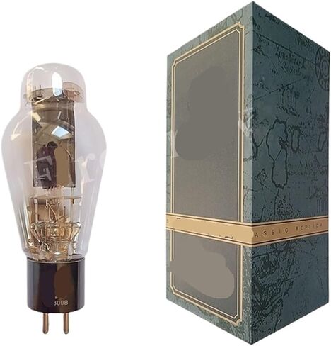 WE300B نسخة WE 300B فراغ أنبوب HiFi الصوت مُضخّم صوت عدة لتقوم بها بنفسك مع أربع قنوات (4 قطعة رباعية متطابقة) in Saudi Arabia