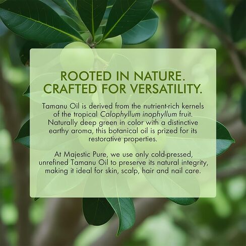 Majestic Pure Tamanu Oil 4 oz - 100% Pure & Natural - USDA Certified - Cold Pressed Carrier Oil for Face, Body, Lips, Nails, Shampoo & Conditioner in Kuwait