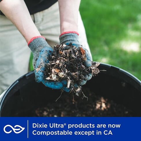 Dixie Ultra Disposable Paper Platters, 10" x 12.5", 25 Count – Durable, Sturdy Design in Kuwait