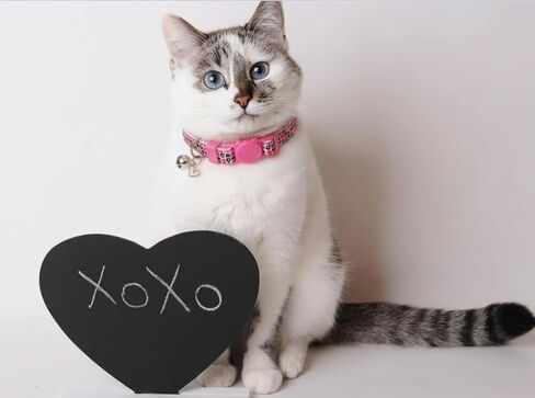 Valentine Holiday Cat Collar with Bell, 3 Pack Breakaway Kitty Kitten Heart Collar for Boys Girls Male Females in Kuwait
