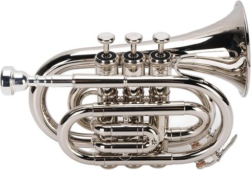 Drfeify Brass Bb Trumpet Set Compact and Portable Pocket Trumpet, for Practice and Performance Settings in Saudi Arabia
