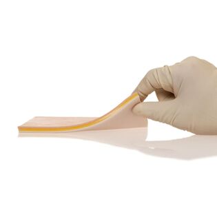 Anatomy Lab product catalog