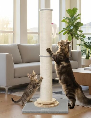 SC35 Extra Thick Heavy Duty Cat Scratching Post for Large Cats & Kittens, 35-Inch Large Cat Scratch Post for Indoor Cats with Hanging Toy & Wooden Ball Tracking Interactive Toy, Light Grey in Kuwait