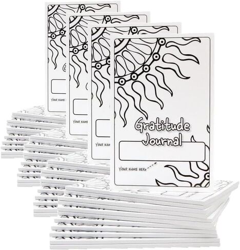 S&S Worldwide Teen Gratitude Journal Class Pack. 100-pgs, Daily Prompts, Cover to Color, Inspiring Quotes, For Self-Esteem, Positive Thinking, Mindfulness, Resilience, Ages 12 and up, 6"x9", Pk 12 in Kuwait