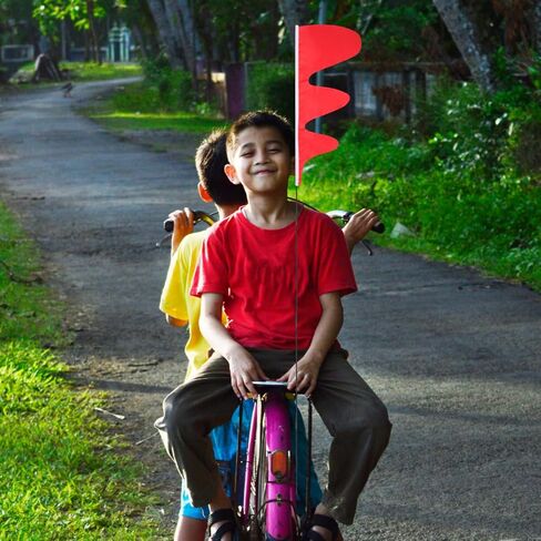 BESPORTBLE Kids Bike Safety Flag Pole 3.5Ft Fiberglass Tail Flag for Bicycle Trailers Portable Cycling Safety for Children in Saudi Arabia