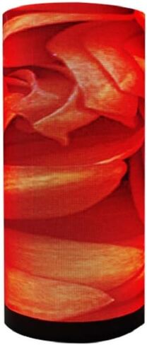 P5 indoor 64x32 pixels soft LED display flexible led module Support Customize Round Video Wall 320x160mm in Saudi Arabia