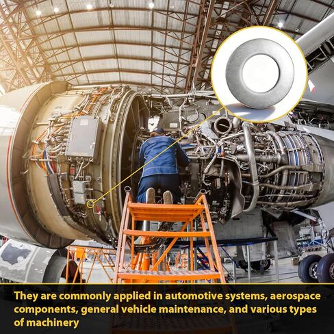 200 Pack 1/4" Belleville Washers Bulk Conical Disc Spring Cup Washers 18-8 Stainless Steel in Kuwait