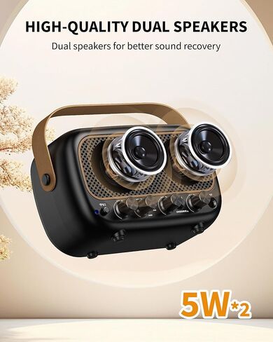 Mini Guitar Amplifier, 5Wx2 Portable Electric Guitar Amp, Rechargeable Bluetooth Speaker, Clean/Overdrive Effects, 7H Playtime, Headphone Jack, Small Practice Amp for Daily Play/Jamming in Saudi Arabia