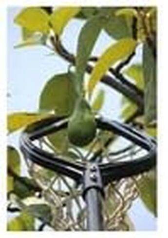 Lightweight Mango Fruit Picker/Harvester with 4 Replaceable Sharp Blade| Cotton (Without Pole) in Kuwait