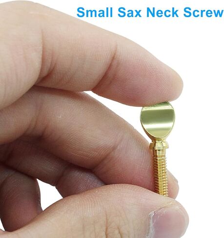 Piutouyar 2 Pcs Golden Sax Neck Screw, Tightening Attach Screw Musical Instrument Replacement Fixing Parts for Saxophone Clarinet in Saudi Arabia