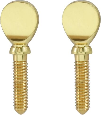 Piutouyar 2 Pcs Golden Sax Neck Screw, Tightening Attach Screw Musical Instrument Replacement Fixing Parts for Saxophone Clarinet in Saudi Arabia