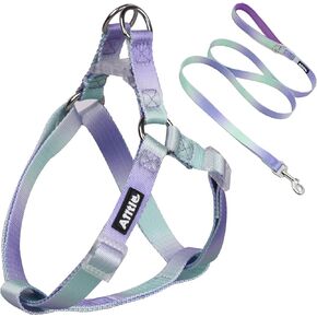 AIITLE No Pull Small Dog Harness and Leash Set - Escape Proof/Quick Fit Dog Halter Harness,Easy for Training Walking - Double D Ring - Puppy Harness for Small Dogs,Purple-Green Gradient S
