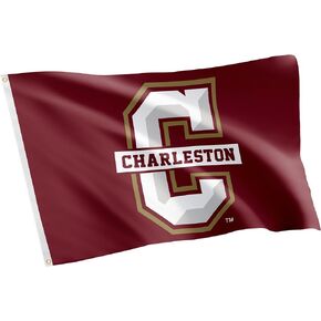 Desert Cactus College of Charleston Flag Cougars C of C Flags Banners 100% Polyester Indoor Outdoor 3x5 (Style 3)