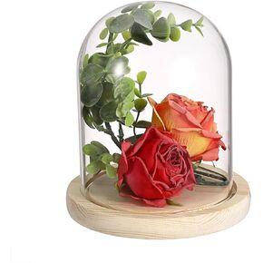 JUXYES Glass Display Dome Cloche with Solid Wood Base, Clear Glass Dome Cloche Bell Terrarium Jar Dustproof Glass Cloche Bell Jar Display for Plants Collectible Figure