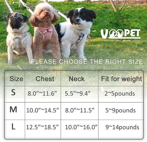 VOOPET Puppy Harness Easy to Put On & Take Off Step in Dog Harness, Puppy Soft Padded Mesh Front Vest with Leash, Adjustable Pets No-Pull Walking Harness with Cute Bows for Small Dogs and Cats in Saudi Arabia