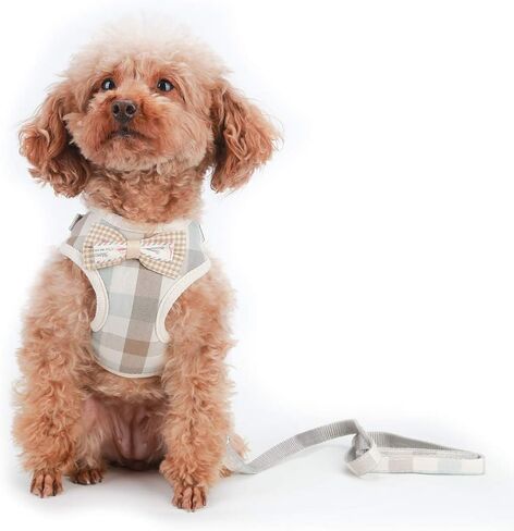 VOOPET Puppy Harness Easy to Put On & Take Off Step in Dog Harness, Puppy Soft Padded Mesh Front Vest with Leash, Adjustable Pets No-Pull Walking Harness with Cute Bows for Small Dogs and Cats in Saudi Arabia