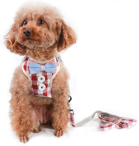 VOOPET Puppy Harness Easy to Put On & Take Off Step in Dog Harness, Puppy Soft Padded Mesh Front Vest with Leash, Adjustable Pets No-Pull Walking Harness with Cute Bows for Small Dogs and Cats in Saudi Arabia
