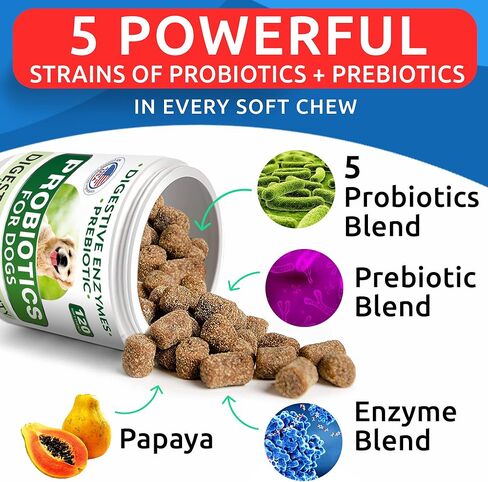 BARK&SPARK Dog Probiotic Chews - Gas, Diarrhea, Allergies - Enzymes + Prebiotics - Chewable Fiber - Digestion, Immunity - USA Made - 120 Ct - Chicken in Saudi Arabia