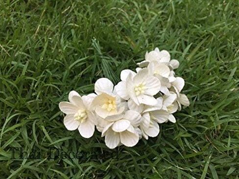 Thai Decorated 50 pcs Mini Paper Flower Artificial Mulberry Paper Flower 20-25 mm Small Paper Flower for Craft Scrapbooking DIY Wedding Card Supplies Flower Size: 25 MM (Pink) in Saudi Arabia