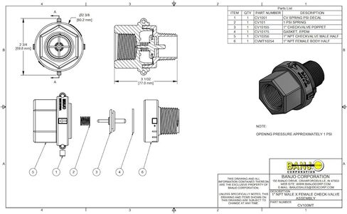 Banjo Corp CV100MT, 1" Male X 1" Female NPT Check Valve, Polypropylene in Saudi Arabia
