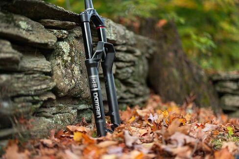 RockShox Domain Gold Isolator RC3 Suspension Fork - 29", 150 mm, 15 x 110 mm, 44 mm Offset, Gloss Black, C1 in Saudi Arabia