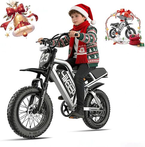 دراجة كهربائية للبالغين - دراجة كهربائية بإطار سميك 16/20 بوصة، محرك 750 وات/ذروة 1500 وات، بطارية قابلة للفصل 48 فولت 15.6 أمبير، 4 أوضاع للركوب، دراجة ترابية كهربائية in Kuwait