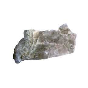 Dinosaur Coprolite (Fossilized Poop) – Genuine Prehistoric Specimen for Science Education or Collectors in Kuwait