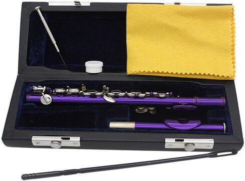 16 Keys C Piccolo, Guarantee Sound, Piccolo Musical Instrument, with Case, Tuning Rod and Cloth, for Beginner Kids Student(Silver) in Saudi Arabia