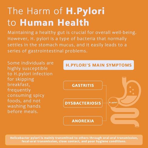 اختبار هيليكوباكتر بيلوري، مجموعات اختبار H. Pylori في المنزل، طقم اختبار H. Pylori مكون من قطعتين النتائج في 10-15 دقيقة. الاختبار الذاتي لـ H-Pylori للاستخدام المنزلي: سريع ودقيق للغاية وسهل الاستخدام. in Kuwait