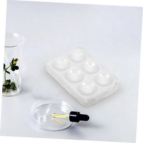 Cabilock 2pcs Scientific Lab Equipment Ceramic Spotting Plate Porcelain Reaction Plate for Experiment Testing in Saudi Arabia