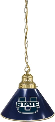 HBS Utah State University Single Shade Pendant Light in Saudi Arabia