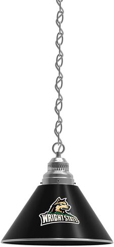 HBS Wright State University Single Shade Pendant Light in Saudi Arabia