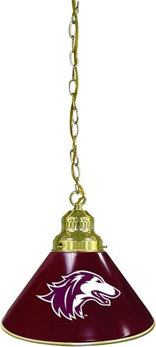 HBS Southern Illinois University Single Shade Pendant Light in Saudi Arabia