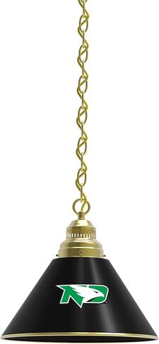 HBS University of North Dakota Single Shade Pendant Light in Saudi Arabia