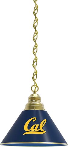 HBS University of California Single Shade Pendant Light in Saudi Arabia