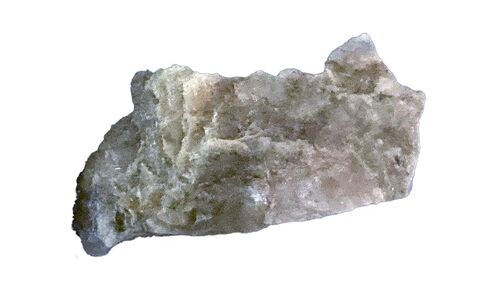 Dinosaur Coprolite (Fossilized Poop) – Genuine Prehistoric Specimen for Science Education or Collectors in Kuwait