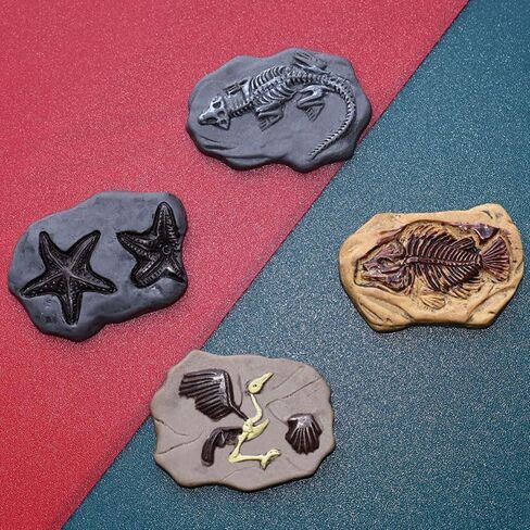 Acxico 20-Piece DIY Mini Resin Fossil Model Ornaments, Small Statue Ornaments & Jewelry Accessories for DIY Crafts, Decorative Displays, Holiday Decorations & Birthday Accents in Saudi Arabia