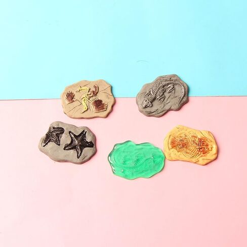 Acxico 20-Piece DIY Mini Resin Fossil Model Ornaments, Small Statue Ornaments & Jewelry Accessories for DIY Crafts, Decorative Displays, Holiday Decorations & Birthday Accents in Saudi Arabia